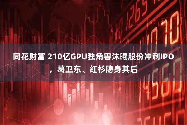 同花财富 210亿GPU独角兽沐曦股份冲刺IPO，葛卫东、红杉隐身其后