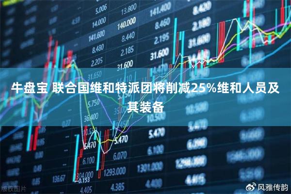 牛盘宝 联合国维和特派团将削减25%维和人员及其装备