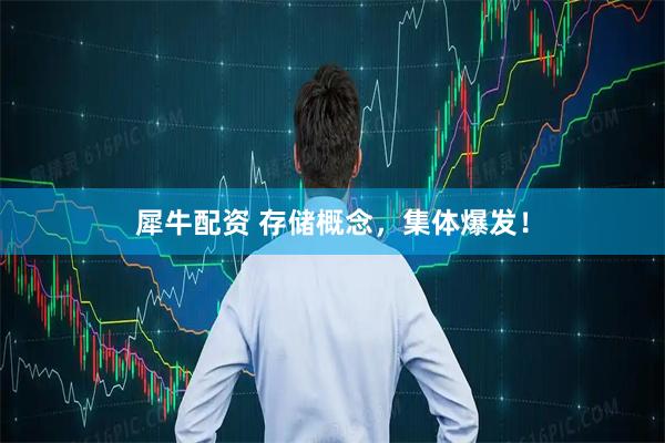 犀牛配资 存储概念，集体爆发！