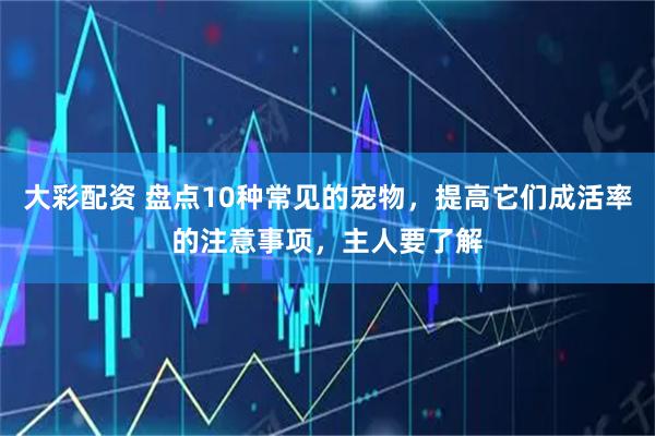大彩配资 盘点10种常见的宠物，提高它们成活率的注意事项，主人要了解
