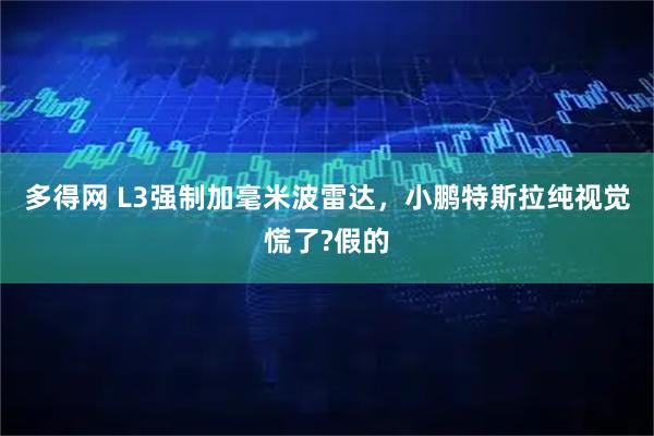 多得网 L3强制加毫米波雷达,小鹏特斯拉纯视觉慌了?假的