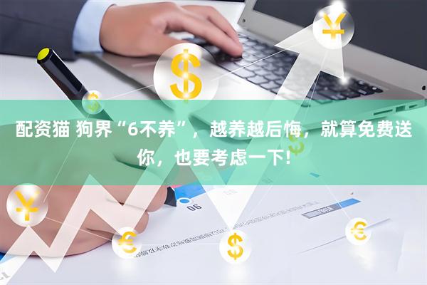 配资猫 狗界“6不养”,越养越后悔,就算免费送你,也要考虑一下!