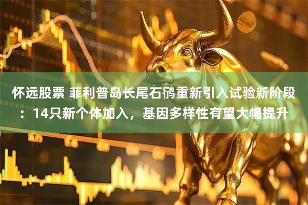 怀远股票 菲利普岛长尾石鸻重新引入试验新阶段:14只新个体加入,基因多样性有望大幅提升
