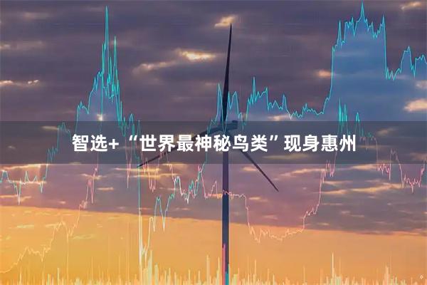 智选+ “世界最神秘鸟类”现身惠州