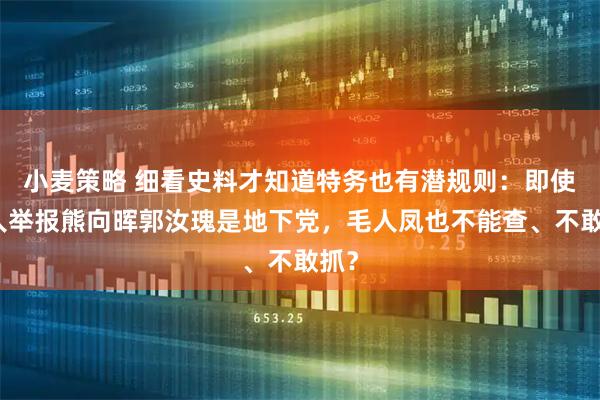 小麦策略 细看史料才知道特务也有潜规则：即使有人举报熊向晖郭汝瑰是地下党，毛人凤也不能查、不敢抓？