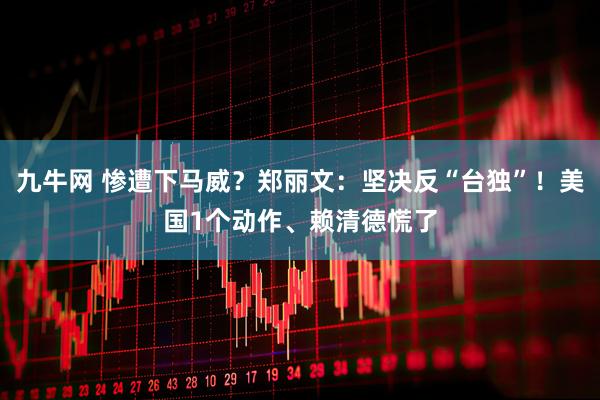 九牛网 惨遭下马威？郑丽文：坚决反“台独”！美国1个动作、赖清德慌了
